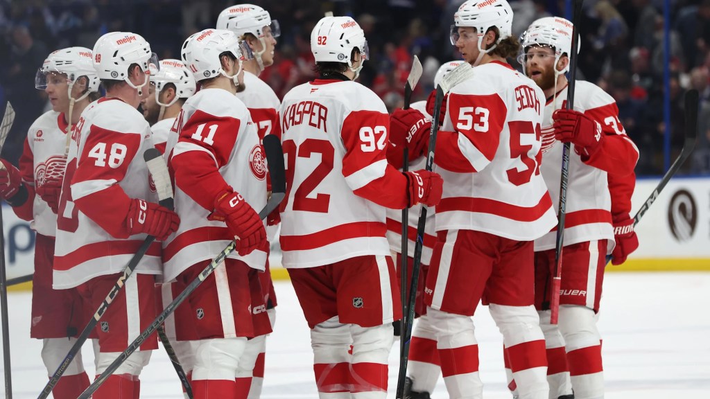 Pourquoi la reconstruction des Red Wings a du plomb dans&nbsp;l&rsquo;aile